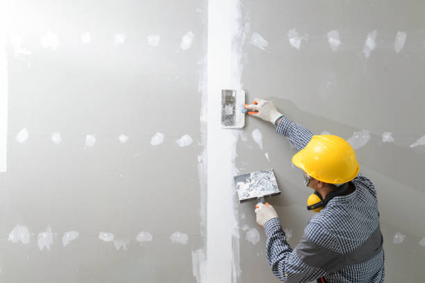Best Mold-Related Health Consultation  in Providence, KY