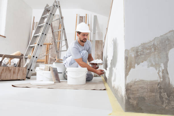 Best Attic Mold Removal  in Providence, KY