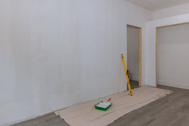 Best Black Mold Removal  in Providence, KY