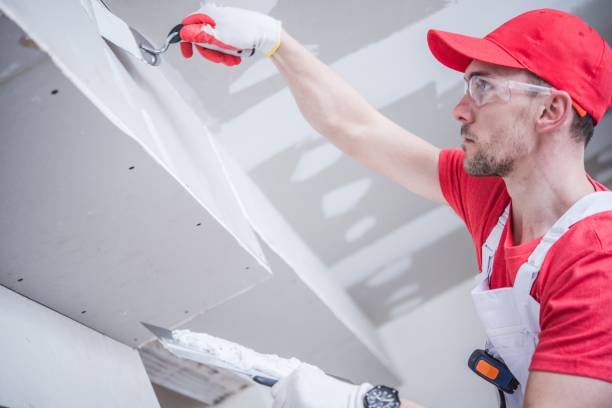 Best Residential Mold Inspection & Testing  in Providence, KY